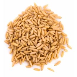 Pin nuts 100 gr صنوبر