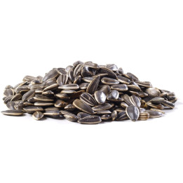 Sunflower Seeds Salted 1 Kg - بزر شمس مملح