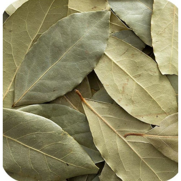 Bay leaves 100 grورق غار