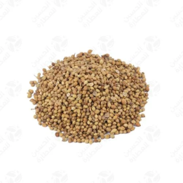 Coriander seeds 300gr كزبرة حب